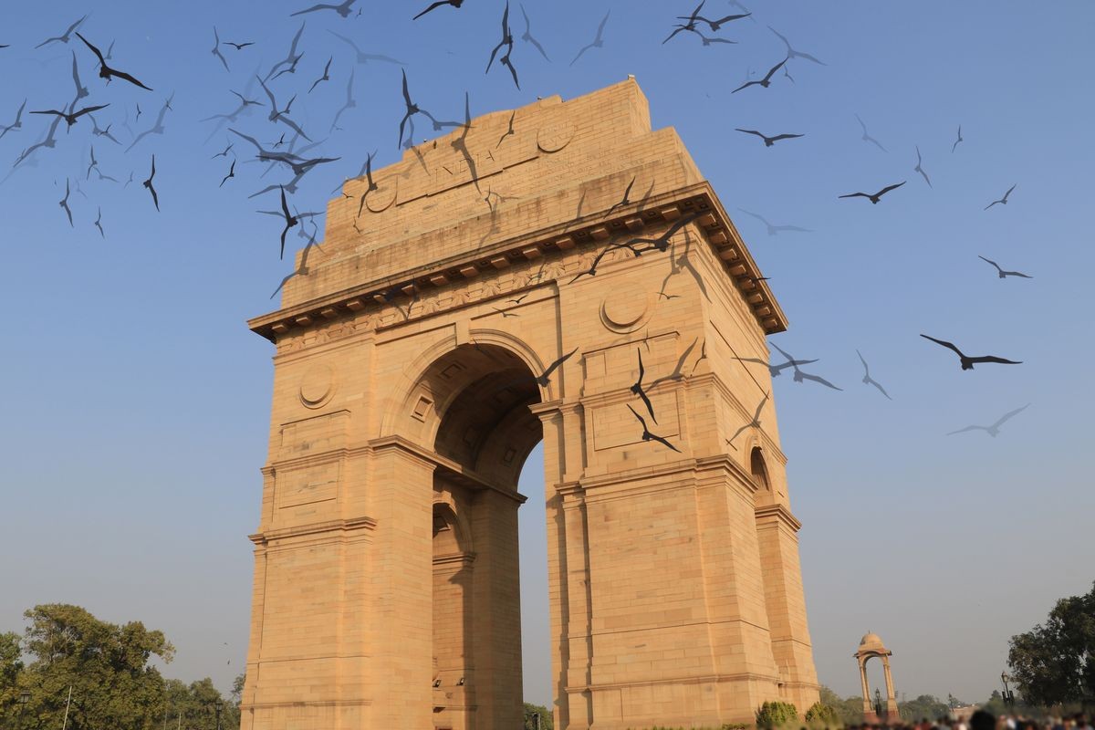 birds flying on delhi gate, delhi, india 